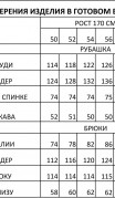 IVA Костюм 1806 фото 11